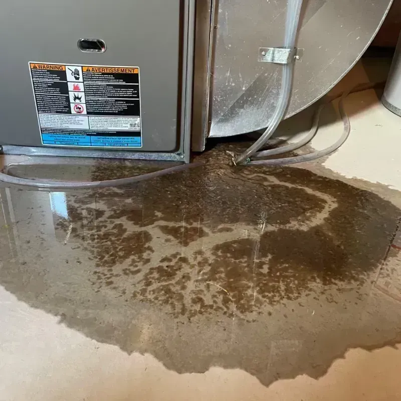 Appliance Leak Cleanup in Winona, MS